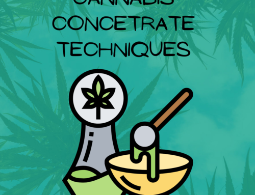 Techniques Used To Create Cannabis Concentrates