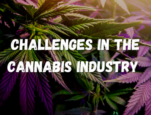 Challenges You Face In the Cannabis Industry